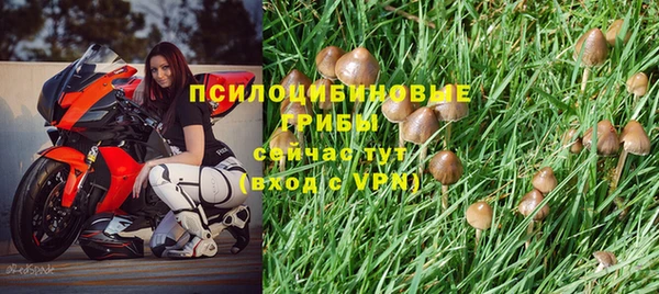 MDMA Михайловск